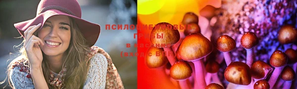 гидропоника Горно-Алтайск