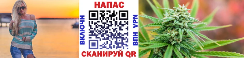 Купить  Медвежьегорск  Конопля ГИДРОПОН 